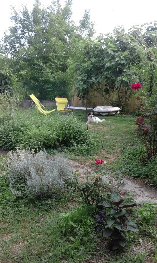 Le Jardin Du Controleur Lägenhet Valence  Exteriör bild